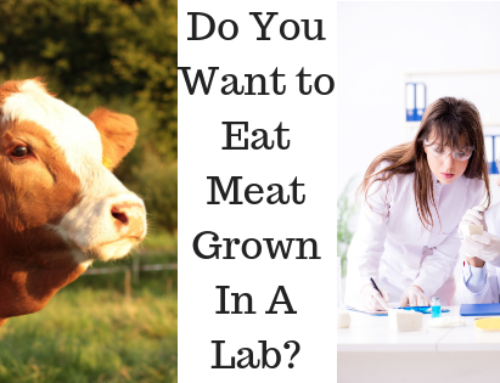 Do You Want to Eat Meat Grown in a Lab?